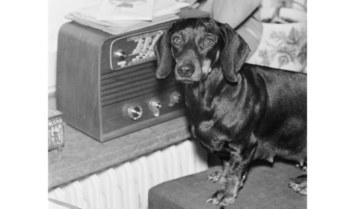 Det krävdes ett verb. Foto: Public Domain