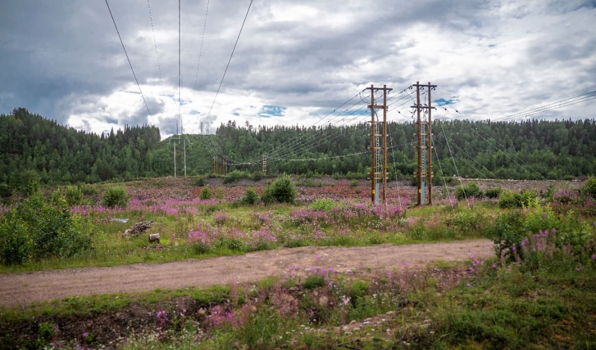 LRF anser att elnätet måste byggas ut. Foto: Bilbo Lantto