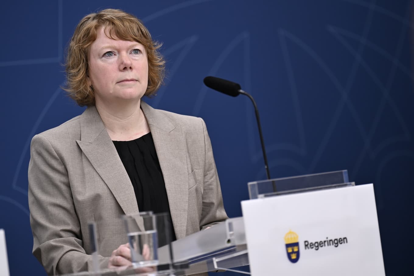Malin Danielsson (L) säger att Liberalerna vill göra en större satsning på folkbildningen under nästa mandatperiod. Arkivbild. Foto: Pontus Lundahl/TT