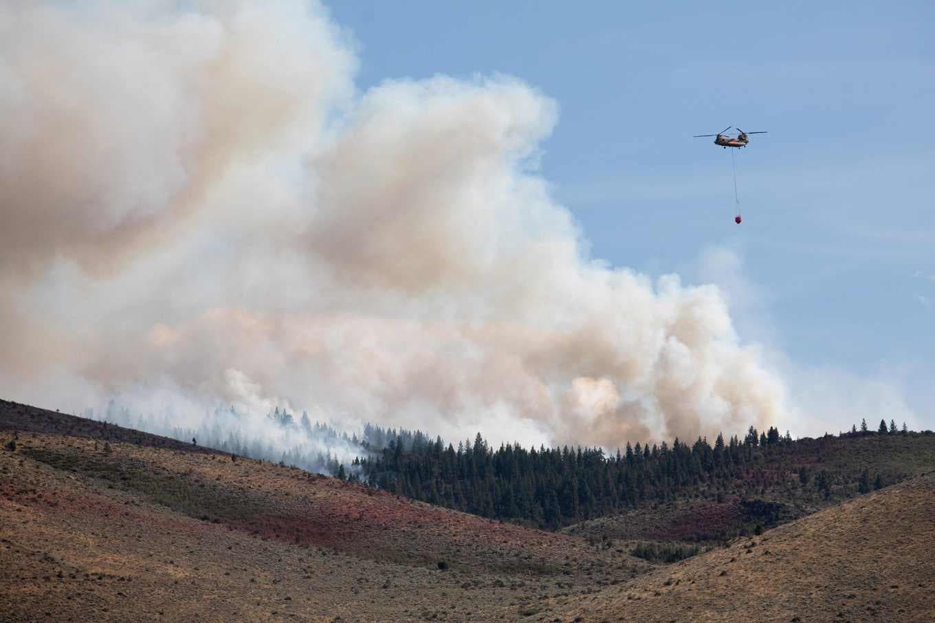 En helikopter bekämpar eldsvådorna i närheten av staden Reno i den amerikanska delstaten Nevada. Foto: Trevor Bexon/Getty Images via AFP/TT
