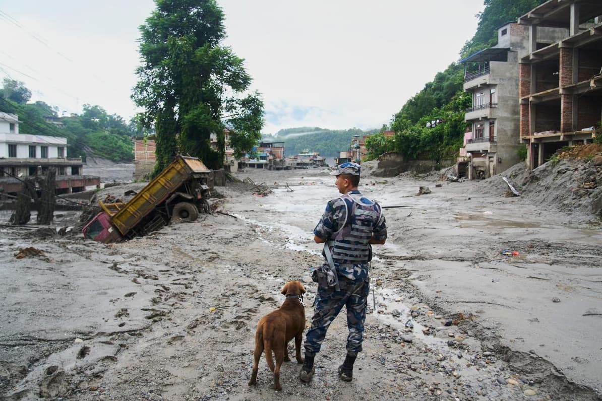 Polis med hund som tittar på förstörelsen i Nepal. Foto: Niranjan Shrestha/AP/TT