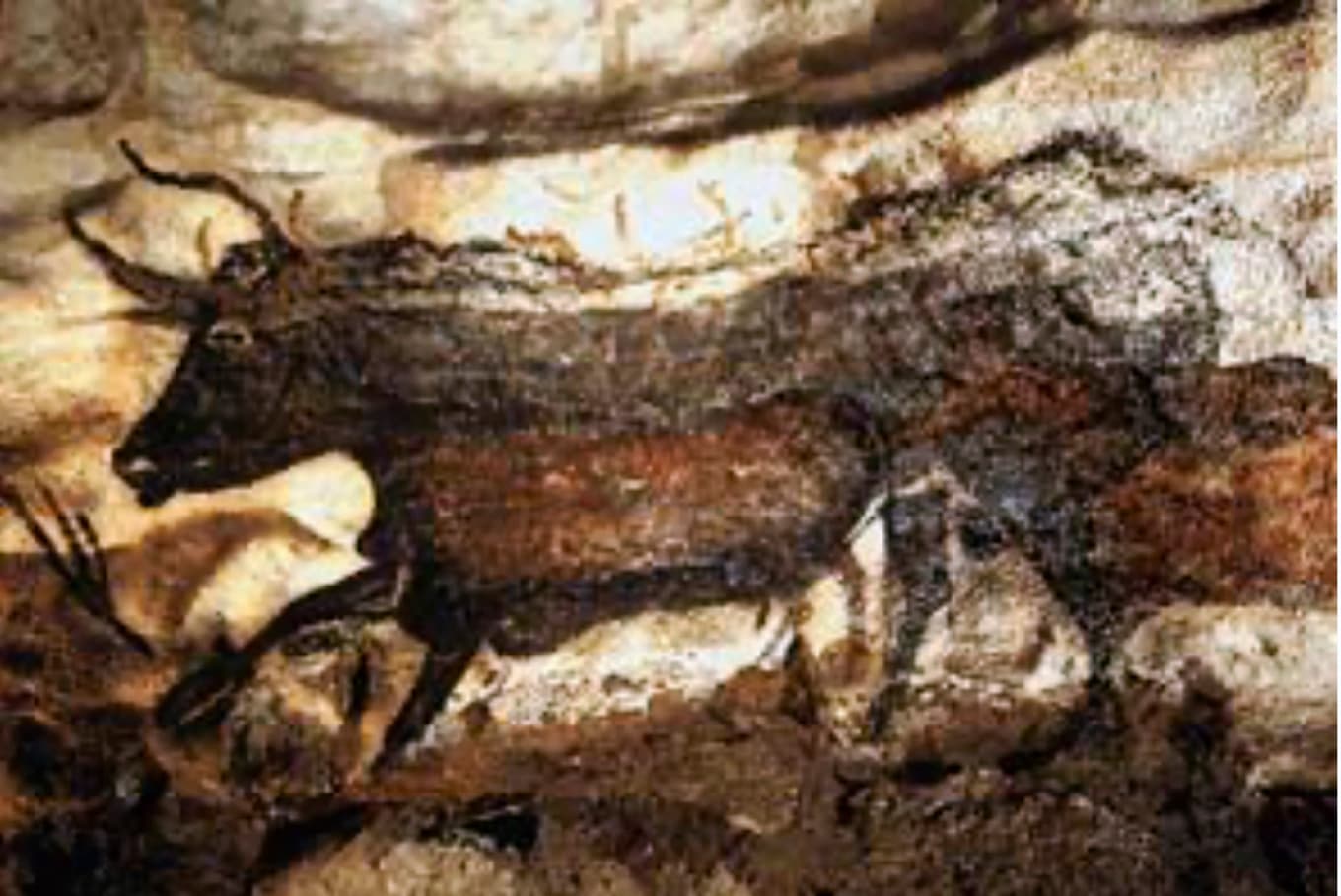 Den svarta tjuren från Lascauxgrottan. Foto: Wikimedia Commons