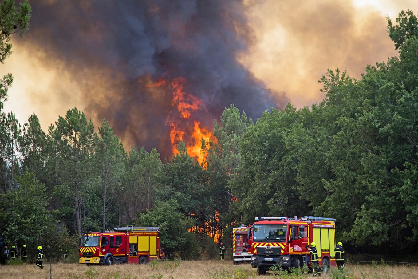Brandmän bekämpar en skogsbrand i Lanton i sydvästra Frankrike den 29 juli. Foto: Pierre Crom/Getty Images