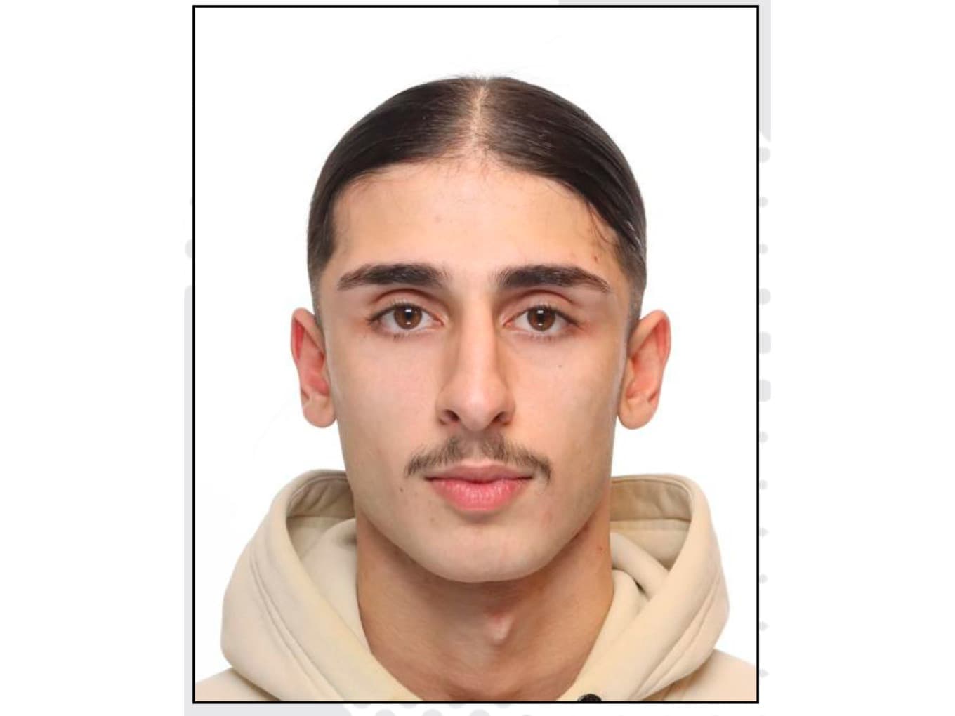 21-årige Ali Namdar, efterlyst av Interpol och Europol misstänkt för inblandning i flera grova våldsdåd, uppges ha gripits i Marocko. Foto: Europol