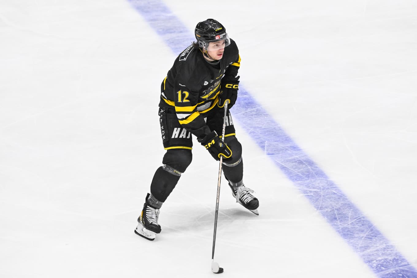 Scott Pooley och hans lagkamrater i AIK vann hockeyallsvenskans seriefinal hemma mot Leksand med 3–2 efter straffar. Arkivbild. Foto: Henrik Montgomery/TT
