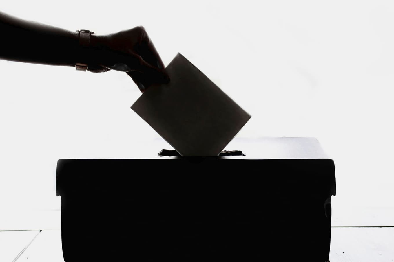 Utan fri opinionsbildning och självständiga väljare riskerar demokratin att förlora sitt innehåll, även om valen genomförs enligt alla regler. Foto: Element5 Digital