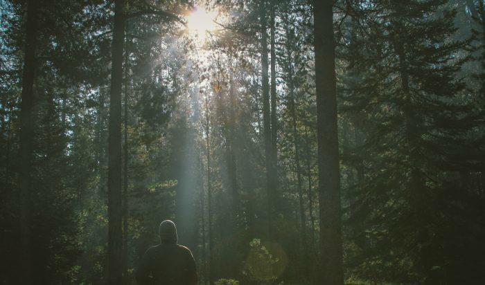 







Foto: Dustin Scarpitti/Unsplash                                                                                                                                                                                                                                                                                                                                                                