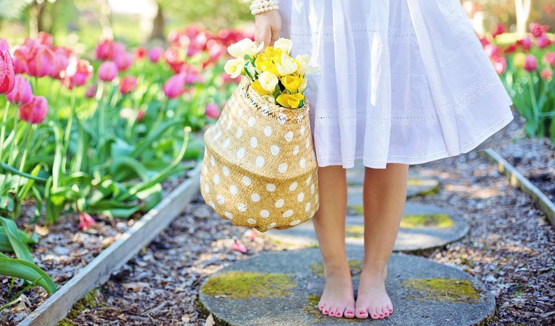 




Den återuppbyggande effekten av att uppleva naturen är mätbar och meningsfull. Foto: Jill Wellington/Pixabay                                                                                                                                                                                                                                                