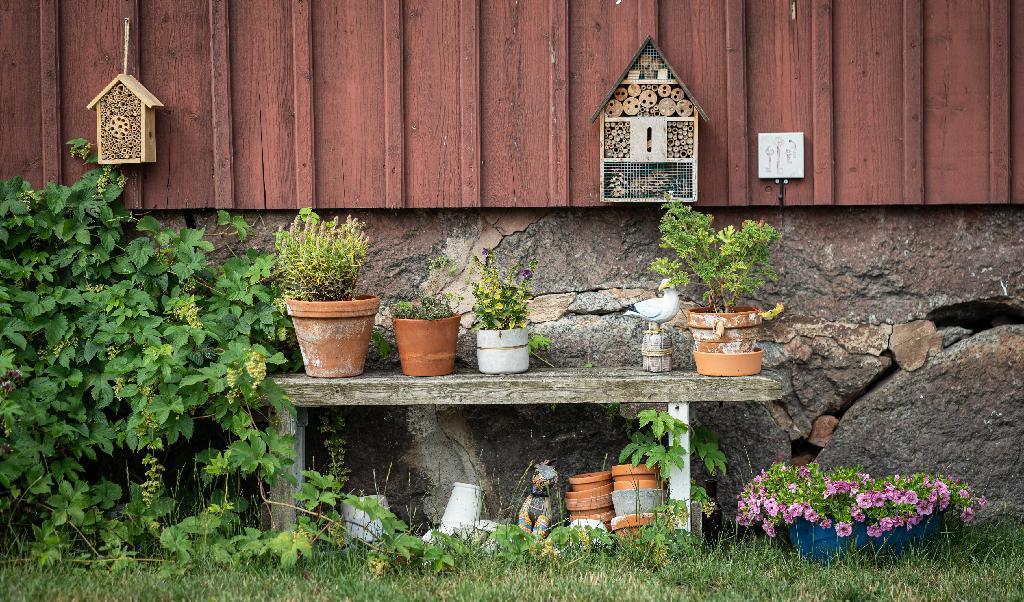
De dagliga valen under en mandatperiods resterande 1 460 dagar har sammantaget den avgörande effekten på händelseutvecklingen. Foto: Sofia Drevemo                                            