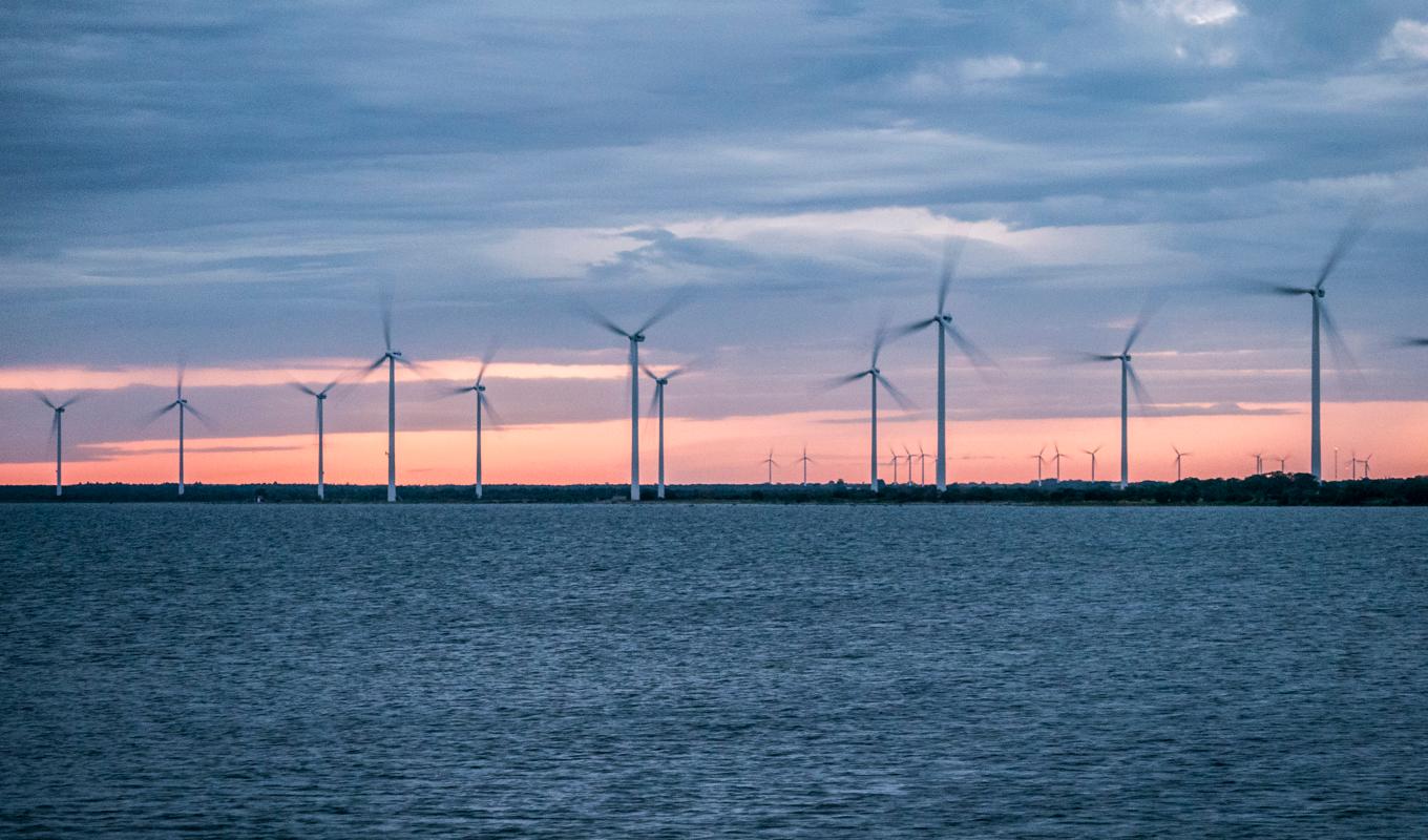 Många av Sveriges vindkraftverk som ägs av bolag går dåligt ekonomiskt och hotas av konkurser. Foto: Bilbo Lantto