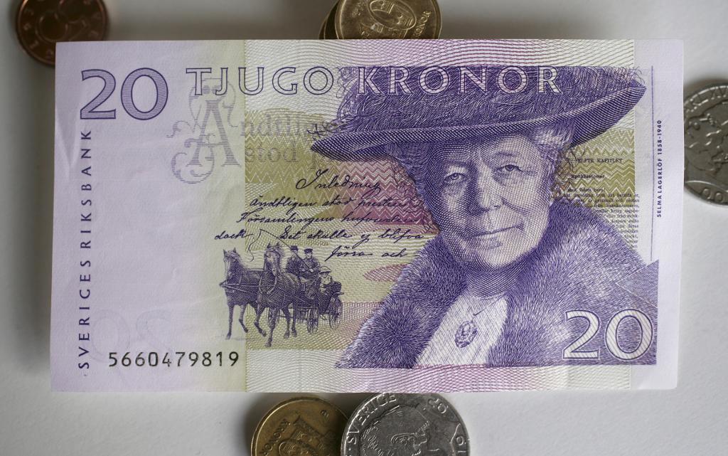 
Omkring 41 miljoner gamla 20-kronorssedlar saknas. (Foto: Fredrik Sandberg / TT)