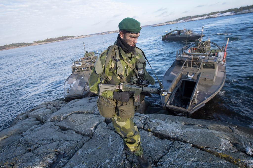 Soldater ur 203:e amfibieskyttekompaniet under den nationella övningen Swenex 2016. (Foto: Fredrik Sandberg/TT-arkivbild)