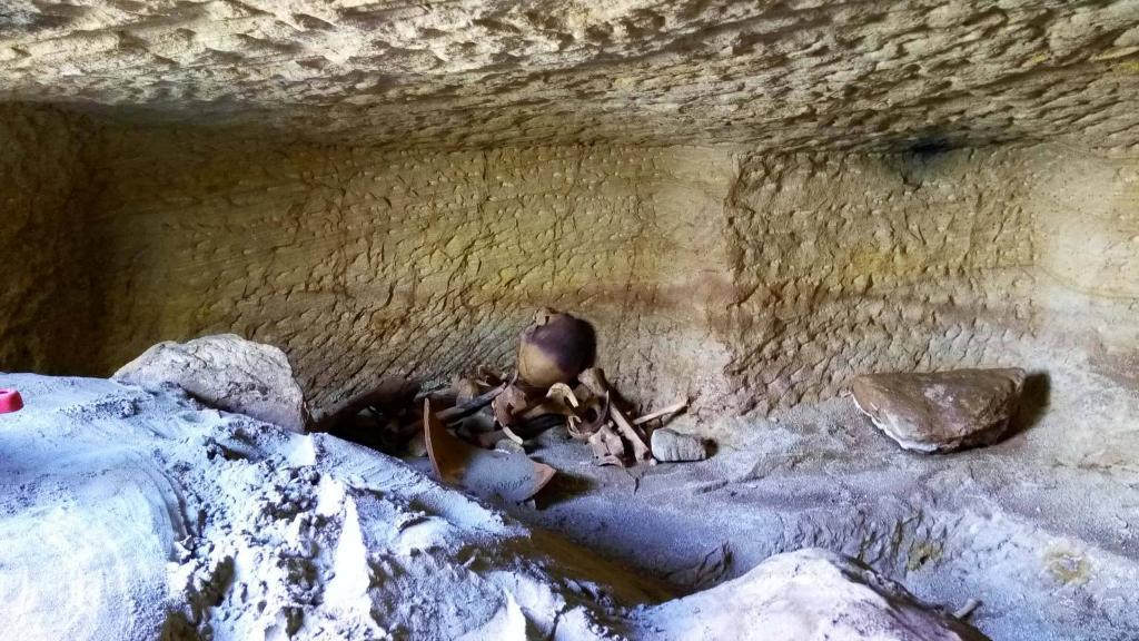 Kvarlevor av människor och djur i en av de gravar från den egyptiska perioden Nya riket, för drygt 3 000 år sedan, som hittats av en forskargrupp under svensk ledning. (Foto: Egyptens antikvitetsministerium)