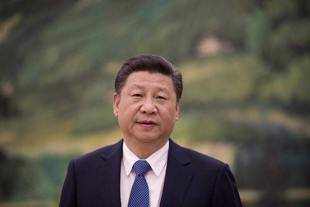 Kinas president Xi Jinping ska slippa äggkastning och slagord, har myndigheterna i Bern bestämt. Arkivbild. (Foto: Nicolas Asfouri/AP/TT)