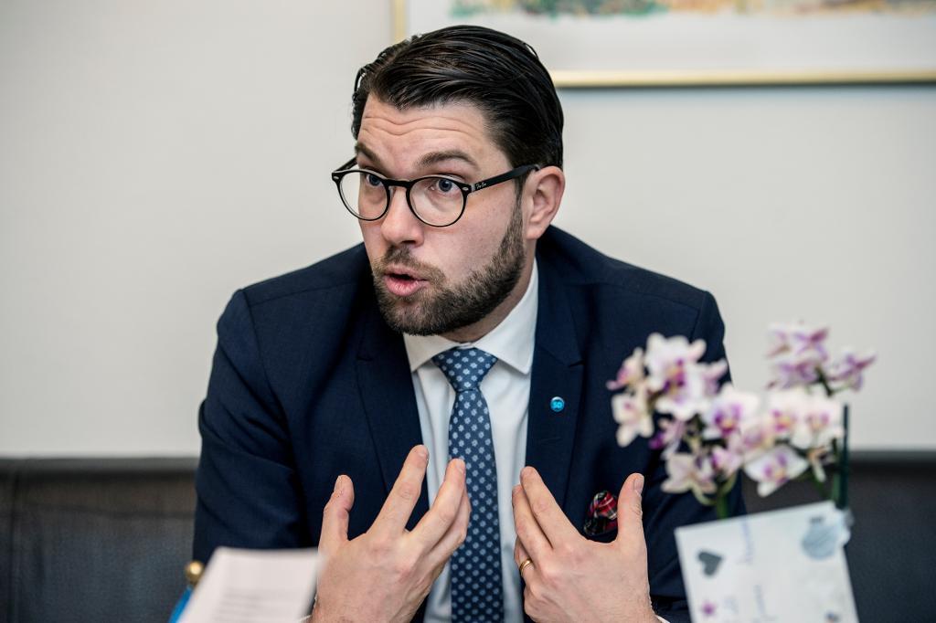 SD:s partiledare Jimmie Åkesson uppmanar partiets rättspolitiske talesperson Kent Ekeroth att ta en paus från riksdagen under tiden som han står åtalad för ringa misshandel. (Foto: Lars Pehrson/SvD/TT-arkivbild)