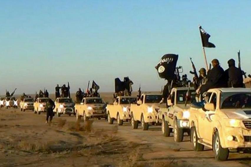 
Svenska jihadister som reser till Irak och Syrien har kunnat lyfta statliga bidrag. Bilden visar en fordonskonvoj med IS-krigare i Syrien.  Foto: Uncredited                                            