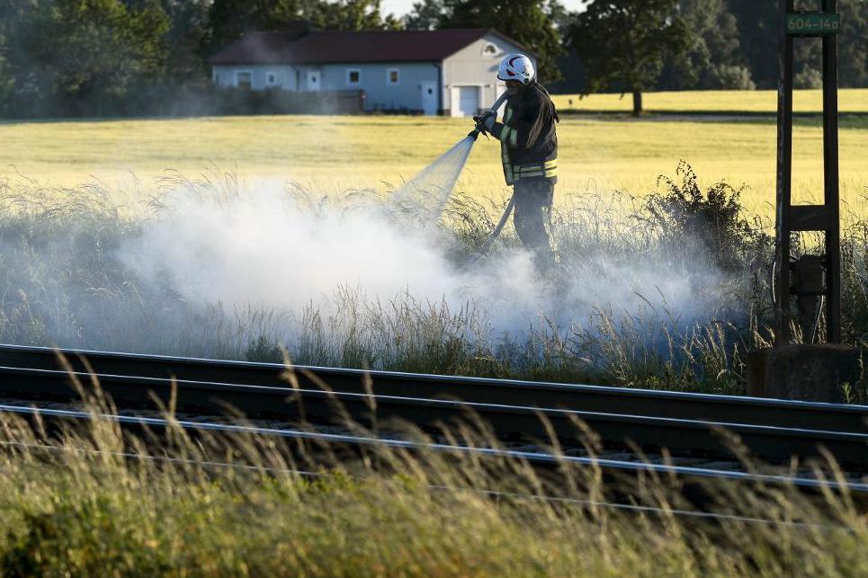 

SMHI varnar för hårda vindar i fjällen och längst i söder. I södra Sverige är det också risk för gräsbränder.  Foto: Johan Nilsson/TT-arkivbild                                                                                        