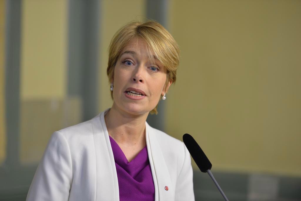 Socialförsäkringsminister Annika Strandhäll (S) ser förslaget som en jämställdhetsreform. Arkivbild.
Marcus Ericsson/TT