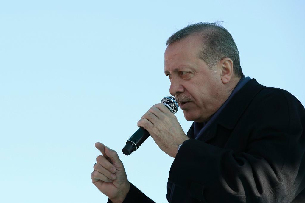 EU vill ha en förklaring av Turkiets president. Arkivbild. Foto: Yasin Bulbul/AP/TT