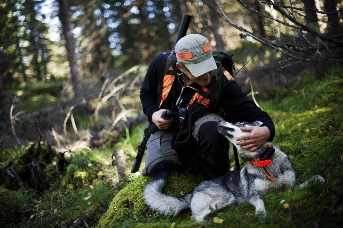 


Den sänkta skatten skulle påverka såväl naturguider som jaktföretag. Foto: Jonathan Nackstrand/afp/Getty Images                                                                                                                                    