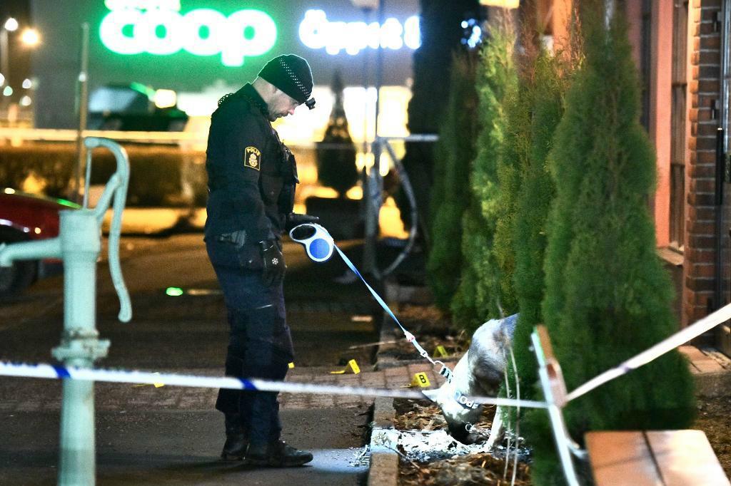 
Poliser och polishundar undersöker den plats i Uppsala där en man sköts ihjäl på lördagskvällen. Foto: Johan Nilsson/TT                                            