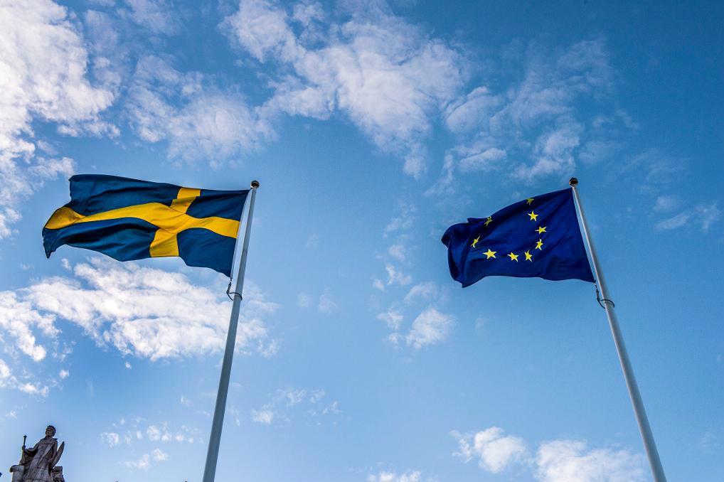 
Sveriges regering är skeptisk till en ny EU-åklagare. Foto: Lars Pehrson/SvD/TT-arkivbild                                            