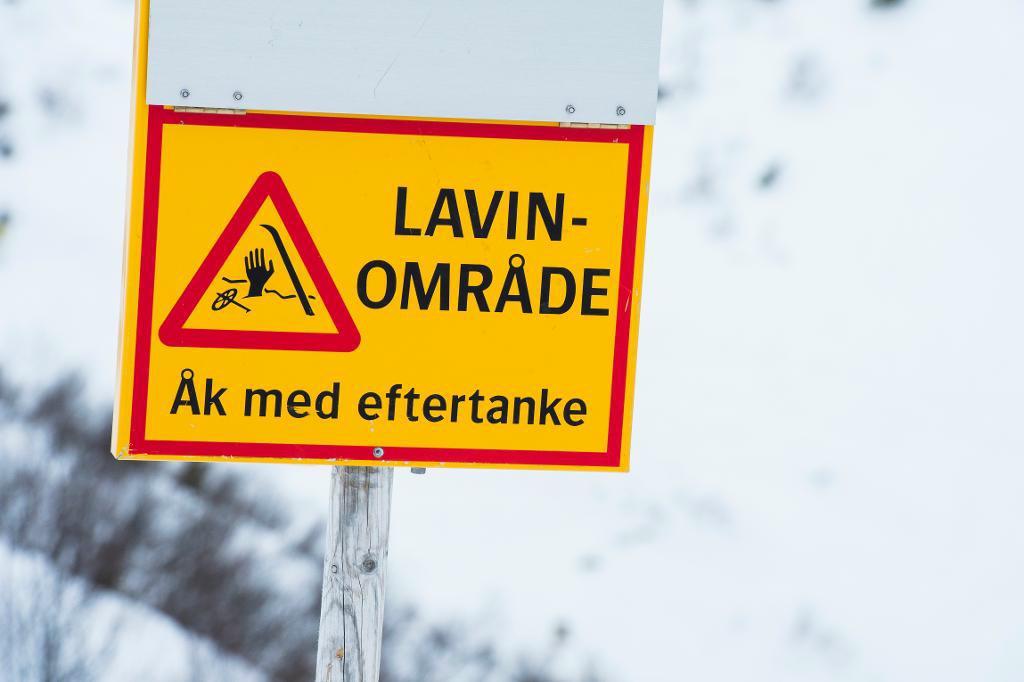 

En sökinsats har dragits i gång efter en lavin i Jämtland. Foto: Erik Nylander/TT-arkivbild                                                                                        