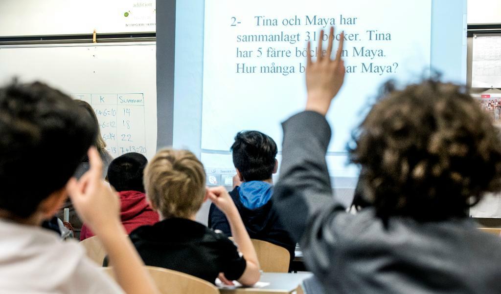Utbildningsutskottet vill att regeringen ser över skollagen för att förhindra att undervisningen blir könsuppdelad. Arkivbild. Foto: Lars Pehrson/SvD/TT