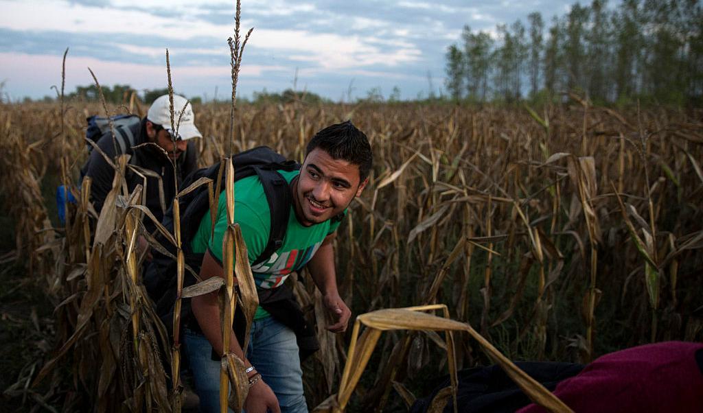 Många flyktingar från Syrien smugglades 2015 genom fält och skogar för att undkomma den ungerska polisen. Automatisk omfördelning av flyktingar godkänns fortfarande inte av Ungern. Foto: Dan Kitwood/Getty Images