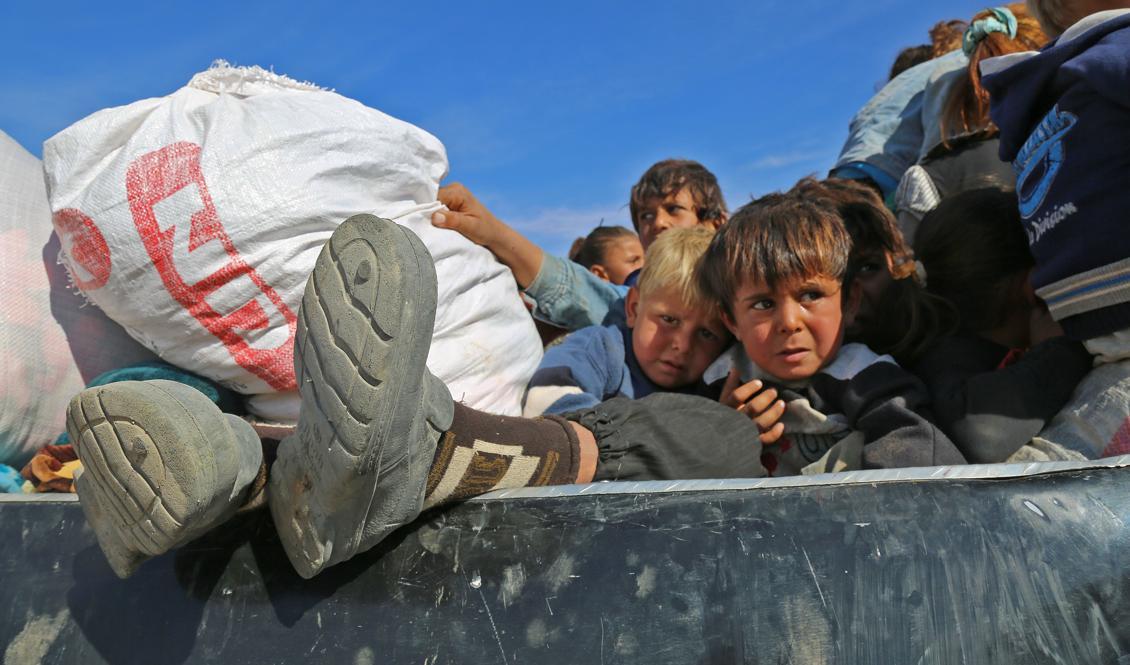 
Syrianer flyr från områden kontrollerade av den islamiska staten. Foto: Delil Souleiman/AFP/Getty Images                                            