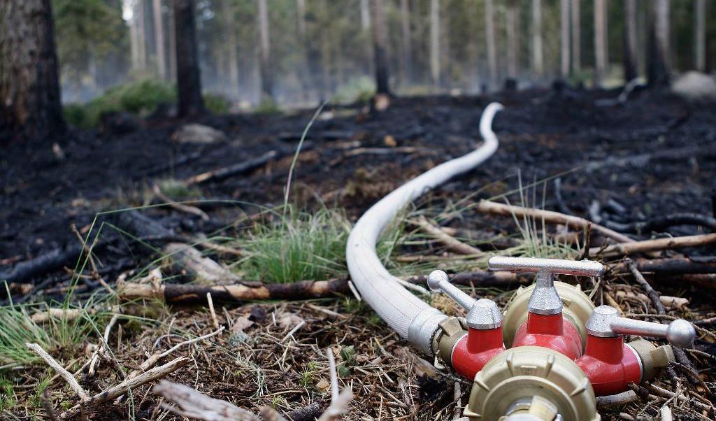
Skogsbränder har brutit ut på flera platser i landet i det torra vädret. Foto: TT-arkivbild.                                            