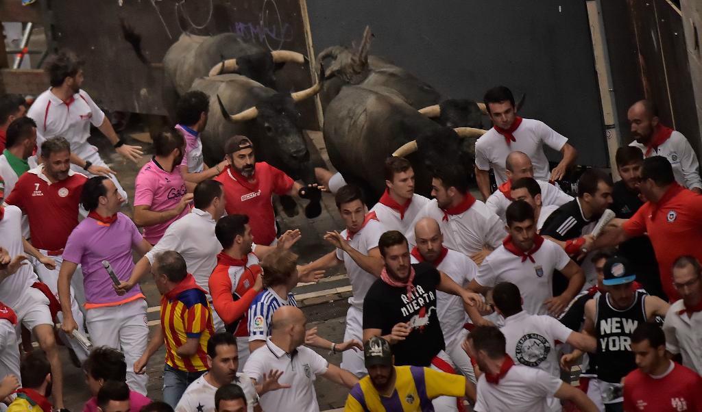 
Dramatik vid morgonens tjurrusning under San Fermín-festivalen i Pamplona. I dag har minst två personer skadats av tjurhorn.
Foto: Alvaro Barrientos/TT/AP                                            