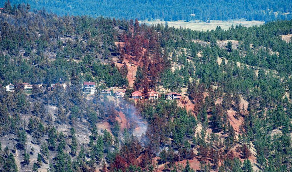 
Rykande skog i Lake County, British Columbia, på söndagen. I provinsen har nästan 40 000 människor evakuerats. Foto: Jonathan Hayward/AP/TT                                            