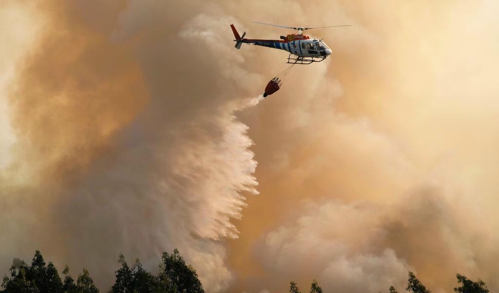 
Portugal har drabbats hårt av skogsbränder. Branden som bröt ut i Pedrógão Grande i mitten av juni skördade drygt 60 människoliv. Foto: Sergio Azenha AP/TT-arkivbild                                            