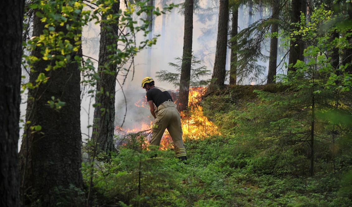 
En brandman bekämpar gräsbränder som blossade upp längs järnvägen. Foto: David Hårseth/TT                                            