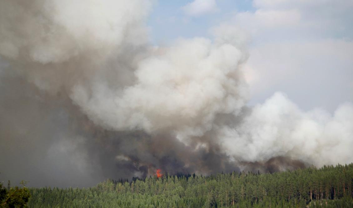 Brand i Hammarstrand i Ragunda kommun under måndagen. Foto: Mats Andersson/TT-arkivbild