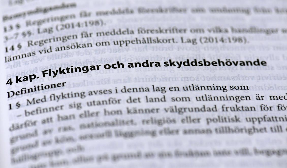 Migrationsdomstolen i Göteborg tar stöd av EU för hur de ska tillämpa den omstridda gymnasielagen. Foto: Janerik Henriksson/TT-arkivbild