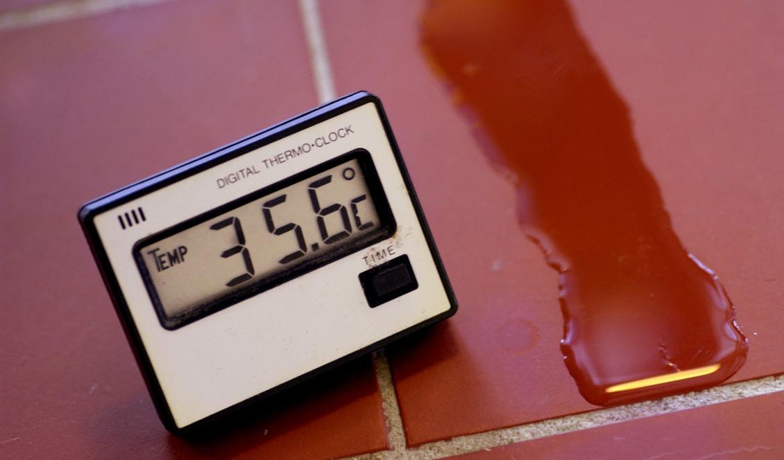 
Värmen i Kanada har krävt 54 människoliv. Foto: Malin Hoelstad/SvD/TT-arkivbild                                            