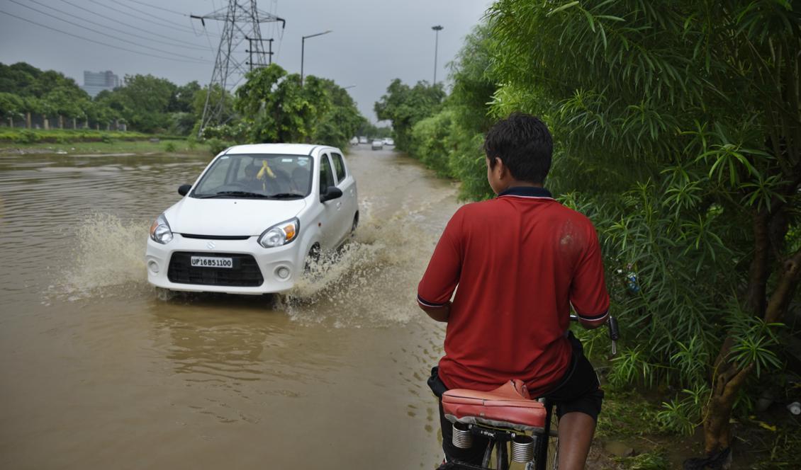 Delstaten Uttar Pradesh i Indien har drabbats hårt av svåra monsunregn. Foto: R S Iyer/AP/TT