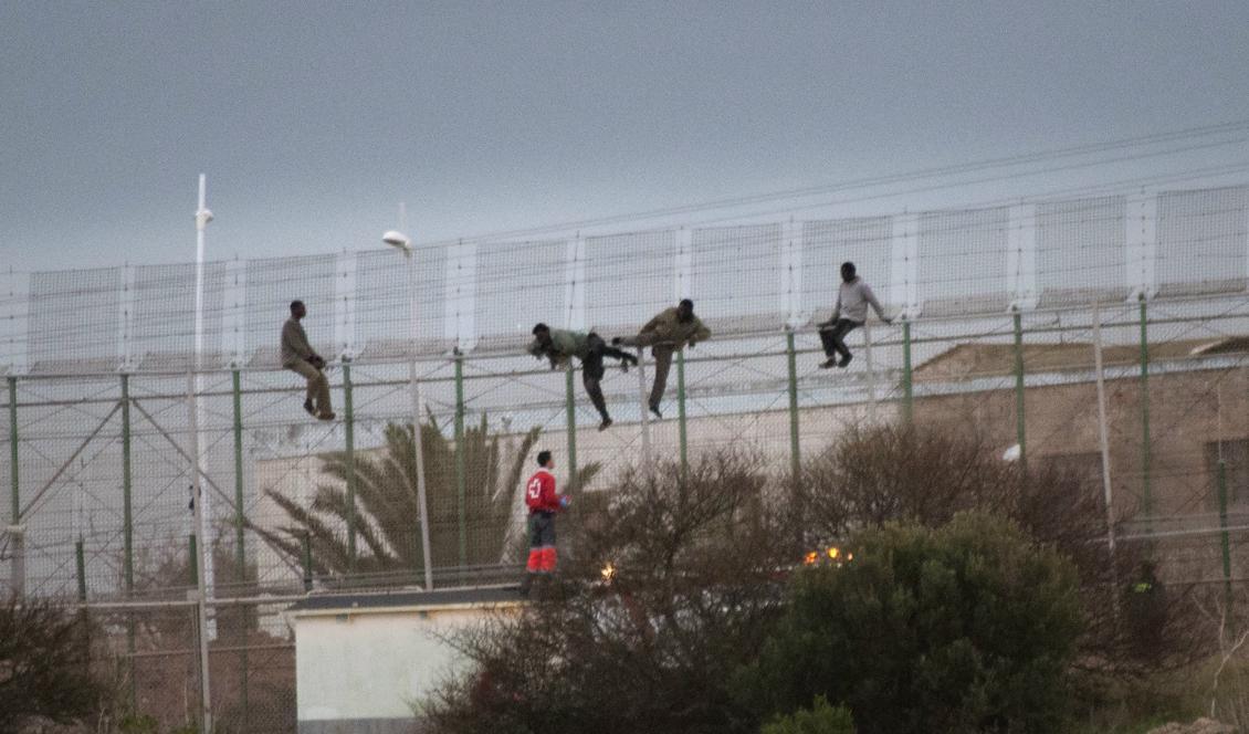Migranter har forcerat ett gränsstängsel vid den spanska enklaven Ceuta. Arkivbild från 2014. Foto: Jesus Blasco de Avellaneda/AP/TT