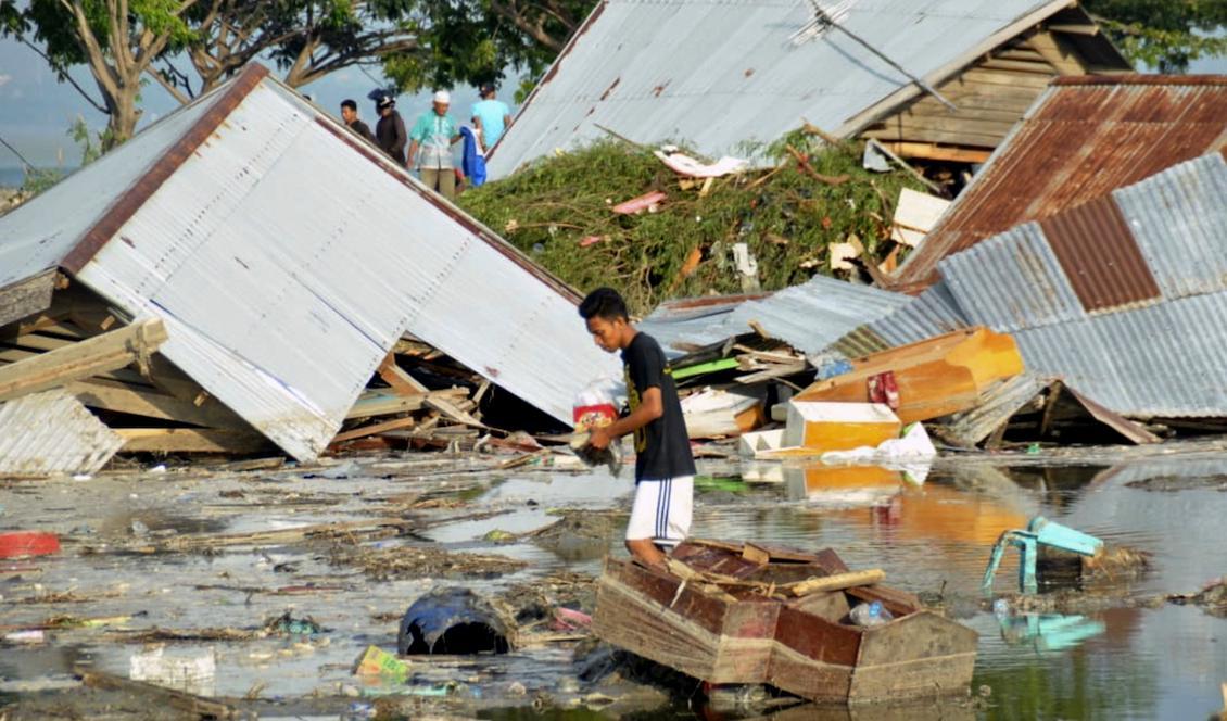 
En man ser över förödelsen efter skalvet och tsunamin i Palu på Sulawesi i Indonesien. Tsunamin svepte bort byggnader i minst två städer. Foto: Rifki/AP/TT                                            