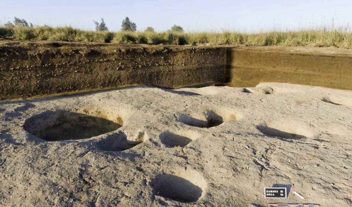 Fynd i Nilendeltat tros komma från en by från yngre stenåldern, långt före pyramidbyggena i Egypten. Foto: Egyptens fornlämningsdepartement via AP/TT