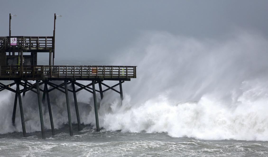 





Vågorna växer vid Bogue Inlet Pier på Emerald Isle, North Carolina. Foto: Tom Copeland/AP/TT                                                                                                                                                                                                                                                                        