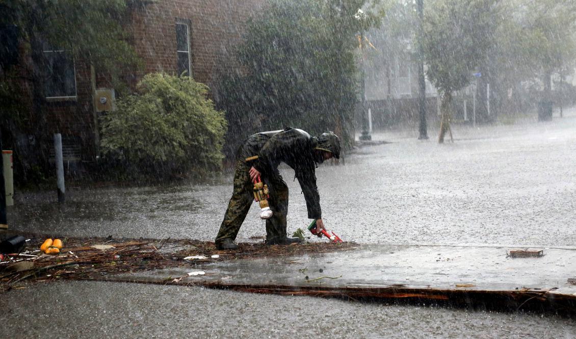 
New Bern i North Carolina har drabbats av svåra översvämningar. Foto: Chris Seward/AP/TT                                            