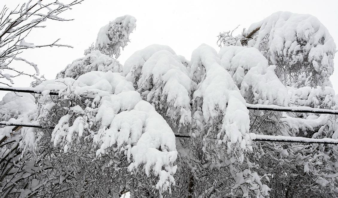 Polisen begick inget tjänstefel när en kvinna dog i snön i Sävsjö i vintras. Foto: Marit Hommedal/NTB Scanpix/TT-arkivbild