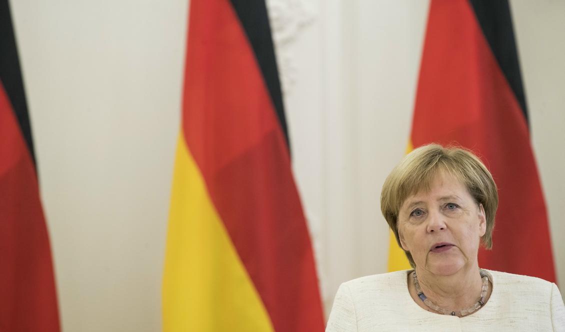 Angela Merkel. Foto: Mindaugas Kulbis-arkivbild
