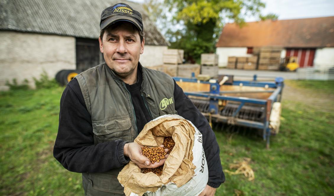 
Bonden Göran Wilén från Bjärby på sydvästra Öland odlar bönor till en växande marknad. Foto: Suvad Mrkonjic/TT                                            