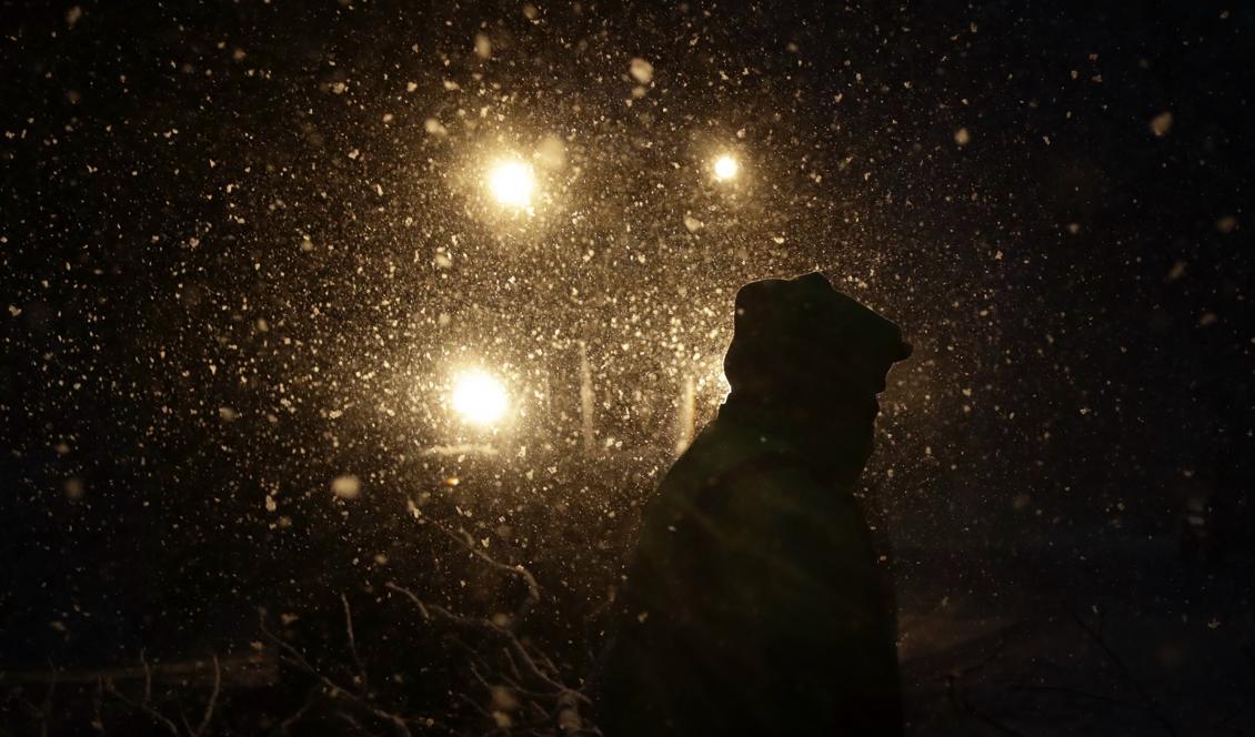 
Försök hitta ljuset i mörkret, råder sömnforskaren. Foto: Matt Slocum/AP/TT-arkivbild                                            