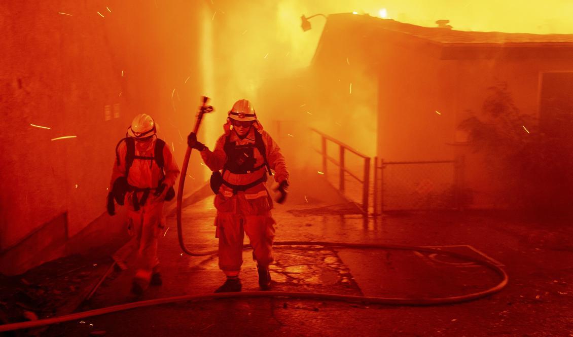 Myndigheterna talar om att staden Paradise är "så gott som helt förstört" av branden. Foto: Noah Berger/AP/TT
