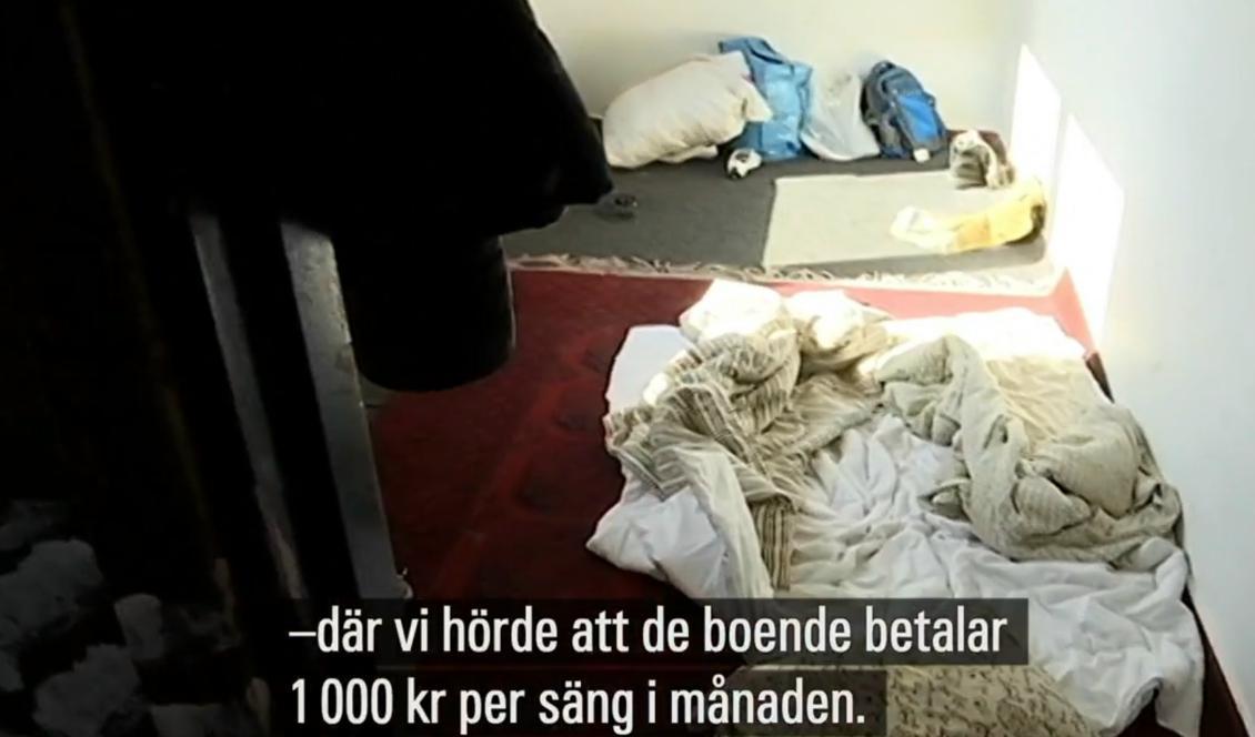 Ett hundratal misstänkt olovliga boenden har hittas i Malmö under de senaste två åren. Foto: Skärmdump/SVT